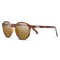 Lowkey, Tortoise + Polarized Brown Lens, hi-res
